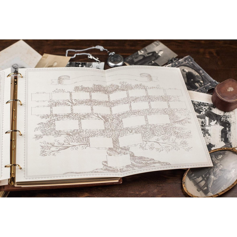 Родословная книга Манускрипт white leather Родословная книга Манускрипт white leather